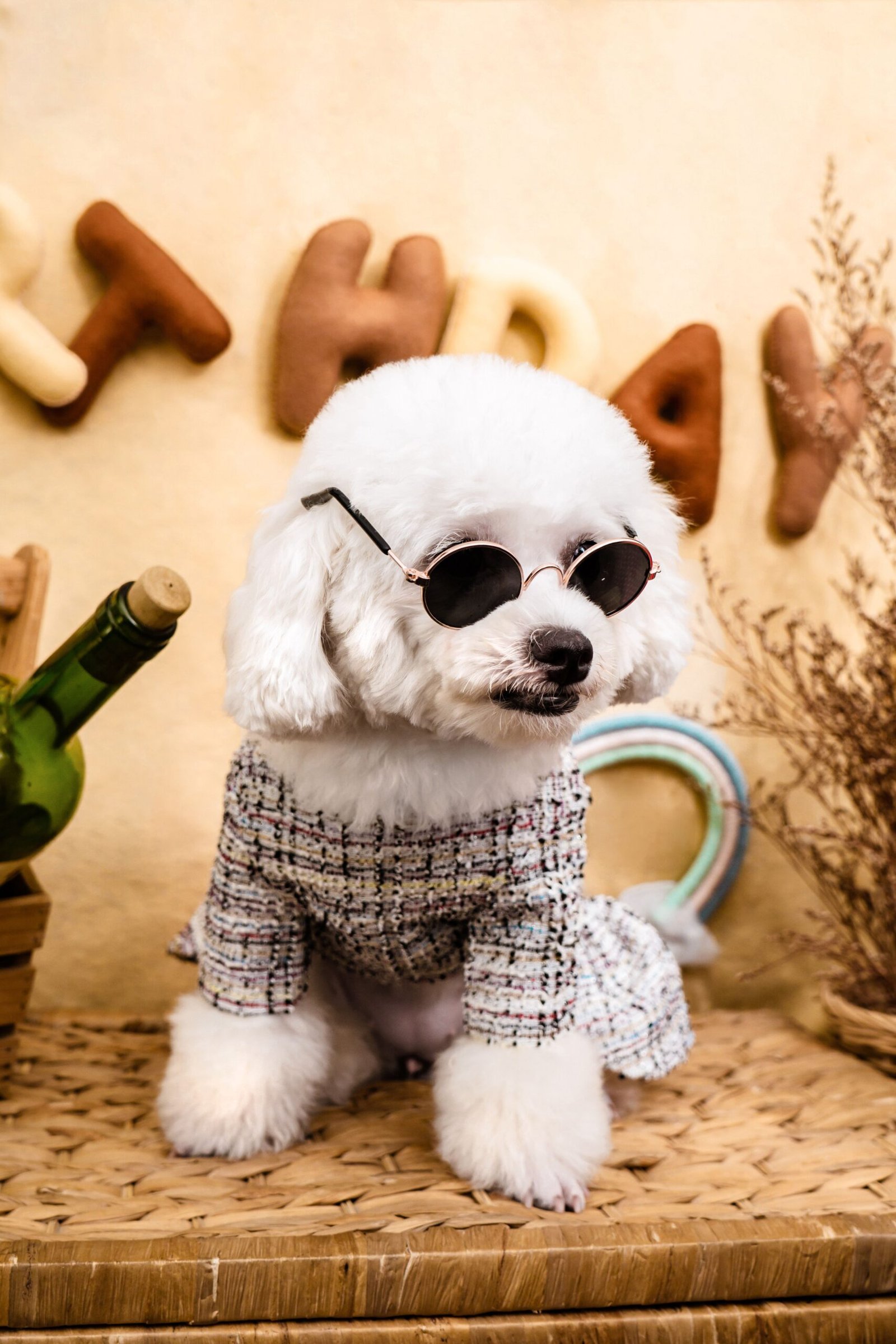 Pet Supplies